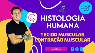 Histologia Humana  Tecido muscular  Contração Muscular [upl. by Nauht]