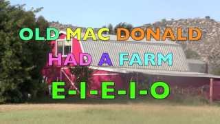 OLD MAC DONALD HAD A FARM  Nursery Rhyme Song  Animal Sounds Part 2 Learn ENGLISH [upl. by Ybbed]