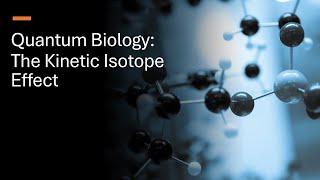 Quantum Biology The Kinetic Isotope Effect [upl. by Eatnuahc718]