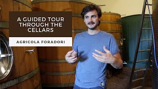 Guided Tour of the Cellars of Agricola Foradori with Winemaker Theo Zierock [upl. by Notle73]