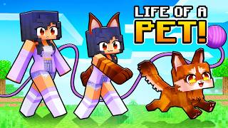 Having a PET LIFE in Minecraft [upl. by Nerok]