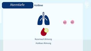 Die Atmung Normwerte und Abweichungen [upl. by Marigold]