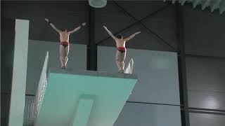 Synchro Platform  Eindhoven Diving Cup 2019 [upl. by Ahsinnek]