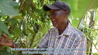 Benefits of Agroecology  intercropping for resilience [upl. by Naujyt]