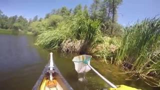 Horsethief Basin Canoe Electroshocking [upl. by Fitting]