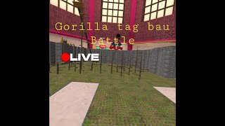 Gorilla tag bau battle live [upl. by Einner]