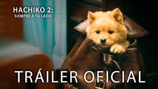 Hachiko 2  Tráiler Oficial Doblado  2024 [upl. by King]