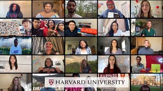 Meet Harvard graduates from across the globe [upl. by Smaoht]