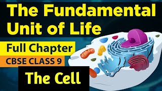 Fundamental unit of life class 9 full chapter The Cell  class 9 science chapter 5  CBSE  NCERT [upl. by Atikan261]