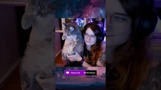 Was im Gesicht🥲 twitchdeutschland gaming twitchclips katze cat fortnite funny stream [upl. by Ahsaz]