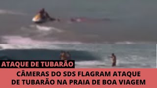 Ataque Real De Tubarão Na Praia De Boa Viagem Recife [upl. by Ninon551]