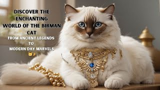 ✨ The Mystical Birman Cat Ancient Legends amp Modern Charms [upl. by Yadsnil414]