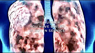 UICIDEBOY  The Number You Have Dialed Is Not in Service Lyric Video [upl. by Ramad]