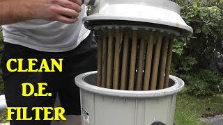 How to Clean a DE Pool Filter [upl. by Ritz239]