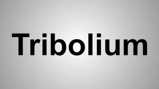 How To Pronounce Tribolium [upl. by Bolten]