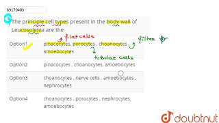 The principle cell types present in the body wall of Leucosolenia are the  12  ANIMALIA I L [upl. by Elyrehc]