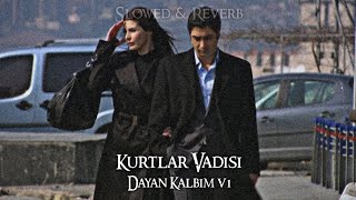 Kurtlar Vadisi  Dayan Kalbim V1 SlowedReverb [upl. by Ausoj695]