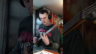 Rsmmstein seemann BASS COVER [upl. by Bald]