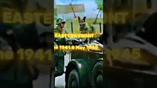 Ww2 eastern front edit keşfet history ww2 easternfront ww2edit ww2history fyp türkiye [upl. by Seale421]