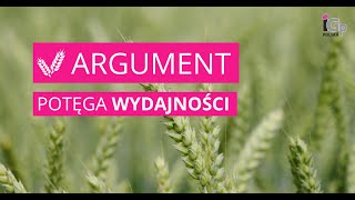 🌱 Pszenica ozima ARGUMENT [upl. by Laurentia]