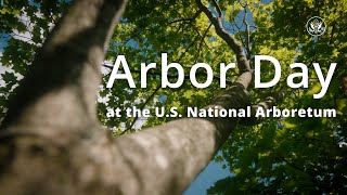 Arbor Day at the US National Arboretum [upl. by Aihsemak]