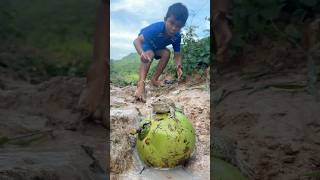 Survival Skills SIMPLE and USEFUL with winter melon bushcraft camping outdoors [upl. by Chinua23]