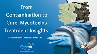 From Contamination to Cure Mycotoxin Treatment Insights [upl. by Clower]