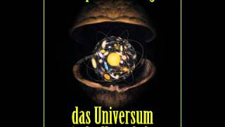 Das Universum in der Nussschale  Hörbuch [upl. by Akeim952]