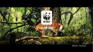 Wilfried Huismann Schwarzbuch WWF Dunkle Geschäfte im Zeichen des Panda [upl. by Urbana995]