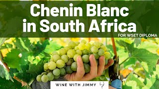 Chenin Blanc in South Africa for WSET Level 4 [upl. by Anaillil]