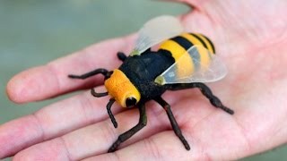 GIGANTIC WASP [upl. by Greenleaf]