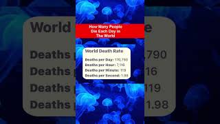 How Many People Die Each Day in World [upl. by Sarine449]