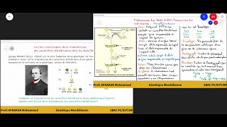 4Génétique mendélienne Introduction  Définitions 2BAC SVTPCSM [upl. by Eissehc]