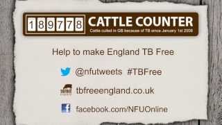 TB Free England Explained Vaccination [upl. by Casady]