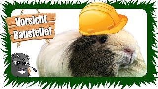 NEUES GEHEGE für die Meerschweinchen BAUEN  Die Meeries [upl. by Harts]