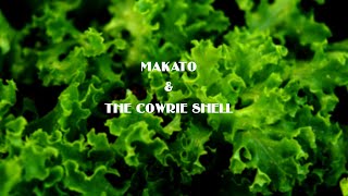 Makato And The Cowrie Shell Performance Task [upl. by Melisenda805]