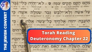 Deuteronomy Chapter 22  Torah Reading in Hebrew with English Translation  TORAH STUDY [upl. by Aicil]