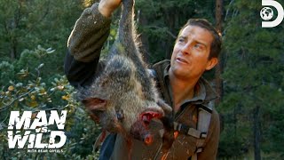 Bear Grylls JawDropping Hunt for a Wild Pig  Man Vs Wild  Discovery [upl. by Cobbie]