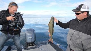 Jig Big Swimbaits for Lake Trout  quotInDepth Outdoorsquot TV Season 7 Episode 19 [upl. by Naillij]