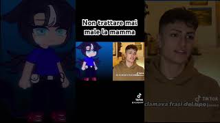 Non trattare mai male la mamma meme [upl. by Nothgierc]