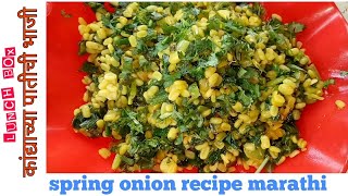 Kandyachi patspring onion recipeकांद्याच्या पातीची भाजी [upl. by Aititel]