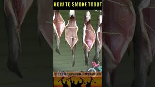 HOW TO SMOKE TROUT [upl. by Coit]