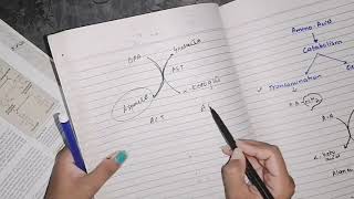 Transamination amino acid Catabolism biochemistry [upl. by Therese]