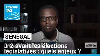 J2 avant les élections législatives au Sénégal  quels enjeux  • FRANCE 24 [upl. by Rehptsirhc]