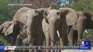 Hogle Zoo elephants safely arrive at Kansas City Zoo [upl. by Hart557]