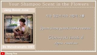 Jang Beom June  Your Shampoo Scent in the Flowers 장범준 Be Melodramatic OST HANROMINDO Lyric [upl. by Eikcor]