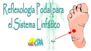 REFLEXOLOGÍA PODAL PARA EL SISTEMA LINFÁTICO [upl. by Stoeber]