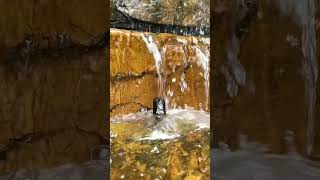 Srisailam 🕉️ paladara panchadara waterfall mahadev srisailam peaceful shortsfeed shortsviral [upl. by Nedmac841]