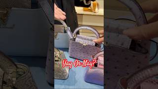 How Much Are The New Louis Vuitton Exotic Mini Capucines shorts luxurybags fallwinter2023 [upl. by Reltuc]