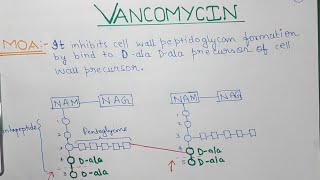 VANCOMYCIN  ANTIMICROBIAL  PHARMACOLOGY  USMLE STEP 1  FA [upl. by Owain165]